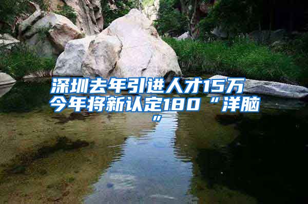 深圳去年引进人才15万 今年将新认定180“洋脑”