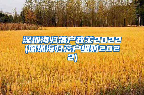 深圳海归落户政策2022(深圳海归落户细则2022)