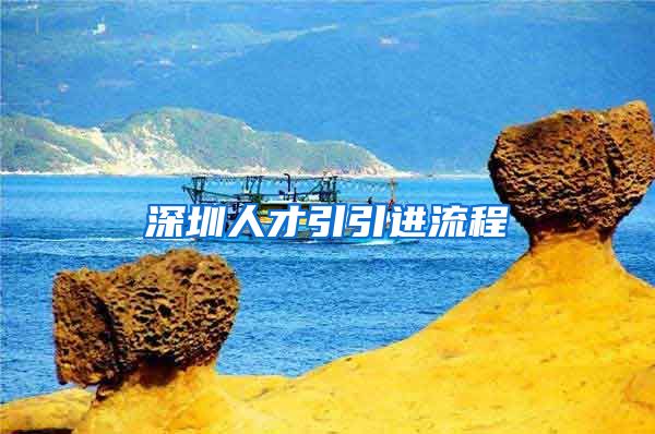 深圳人才引引进流程