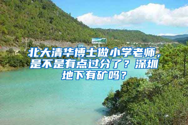 北大清华博士做小学老师，是不是有点过分了？深圳地下有矿吗？