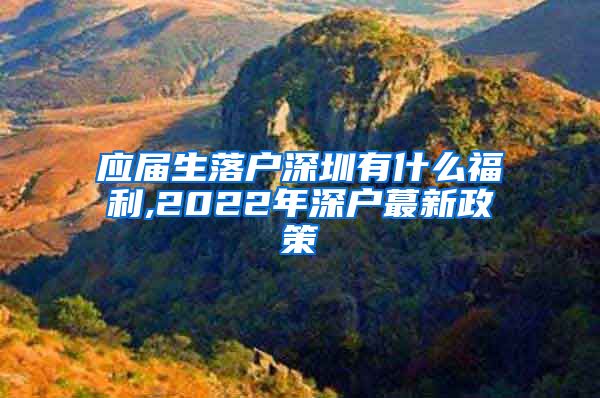 应届生落户深圳有什么福利,2022年深户蕞新政策