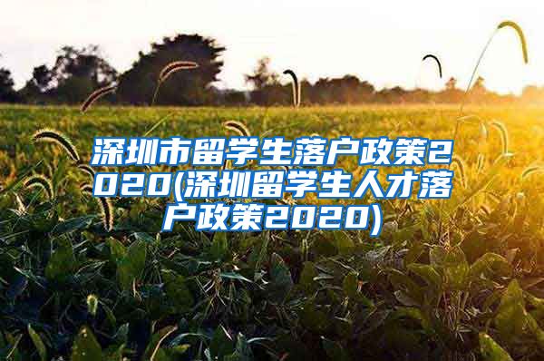 深圳市留学生落户政策2020(深圳留学生人才落户政策2020)