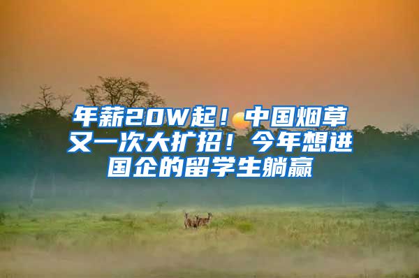 年薪20W起！中国烟草又一次大扩招！今年想进国企的留学生躺赢