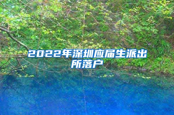 2022年深圳应届生派出所落户