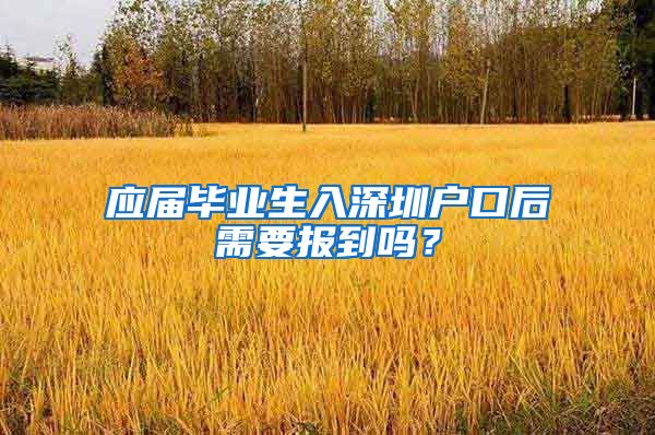 应届毕业生入深圳户口后需要报到吗？