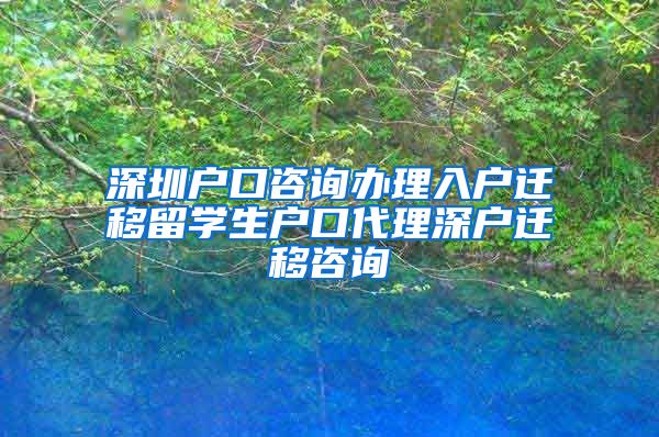 深圳户口咨询办理入户迁移留学生户口代理深户迁移咨询