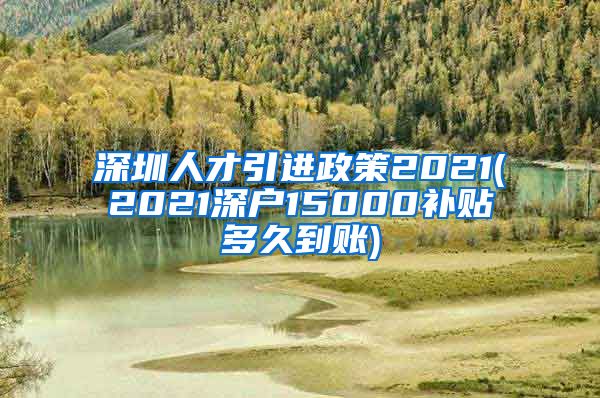 深圳人才引进政策2021(2021深户15000补贴多久到账)