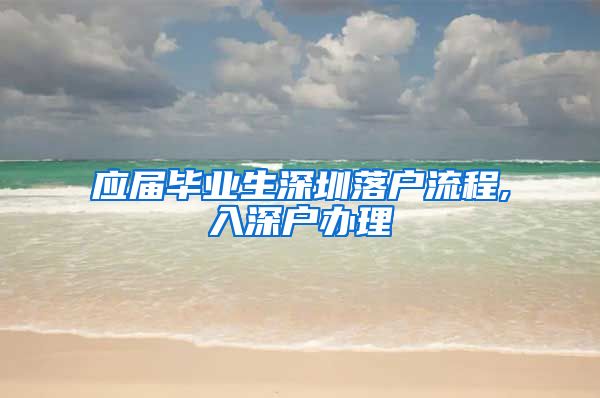 应届毕业生深圳落户流程,入深户办理