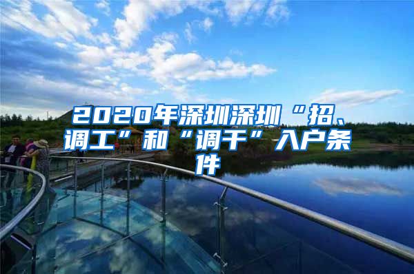 2020年深圳深圳“招、调工”和“调干”入户条件