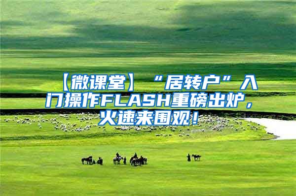 【微课堂】“居转户”入门操作FLASH重磅出炉，火速来围观！