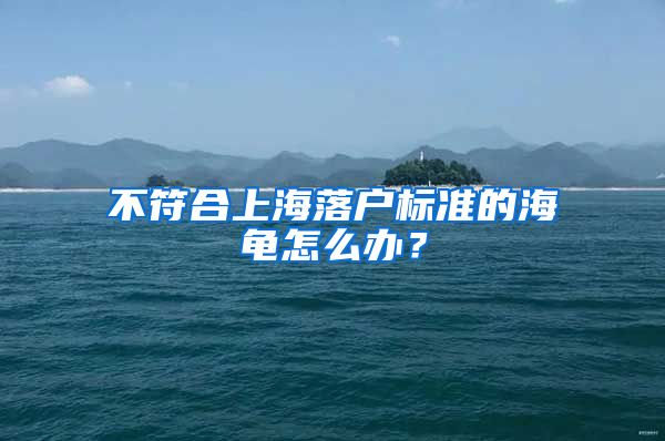 不符合上海落户标准的海龟怎么办？