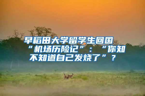 早稻田大学留学生回国“机场历险记”：“你知不知道自己发烧了”？