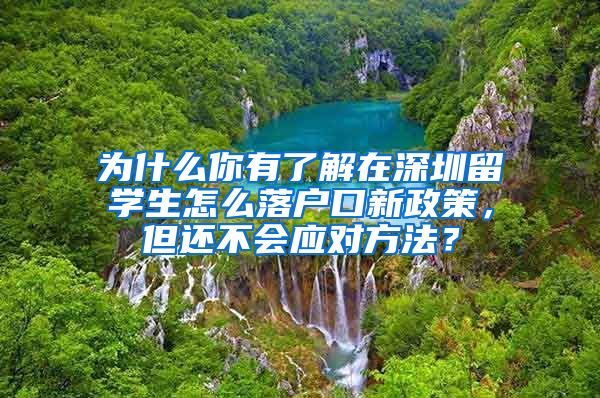 为什么你有了解在深圳留学生怎么落户口新政策，但还不会应对方法？