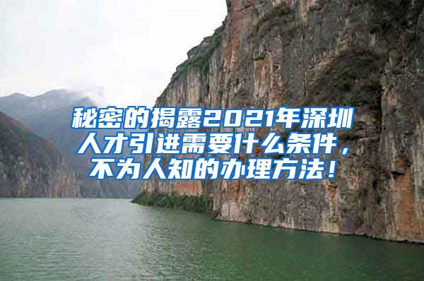 秘密的揭露2021年深圳人才引进需要什么条件，不为人知的办理方法！