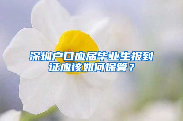 深圳户口应届毕业生报到证应该如何保管？