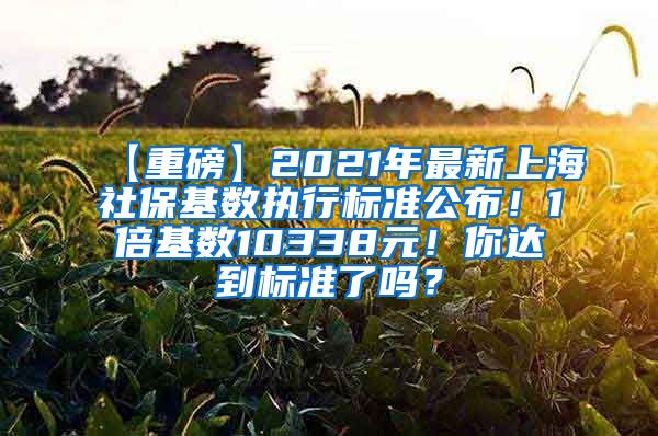 【重磅】2021年最新上海社保基数执行标准公布！1倍基数10338元！你达到标准了吗？