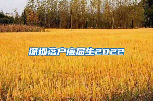 深圳落户应届生2022