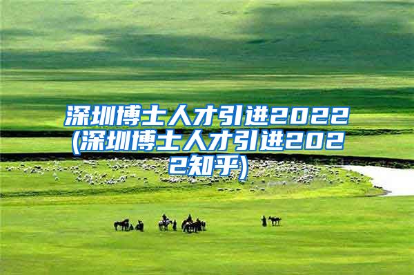 深圳博士人才引进2022(深圳博士人才引进2022知乎)