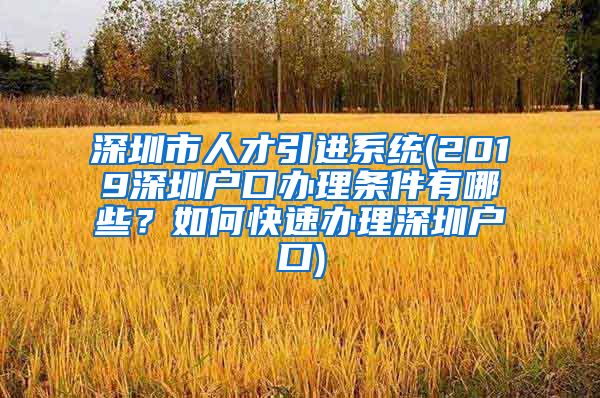 深圳市人才引进系统(2019深圳户口办理条件有哪些？如何快速办理深圳户口)