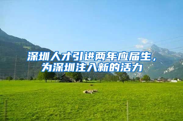 深圳人才引进两年应届生，为深圳注入新的活力