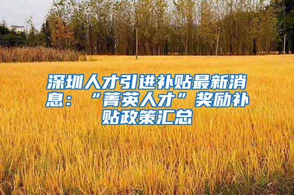 深圳人才引进补贴最新消息：“菁英人才”奖励补贴政策汇总