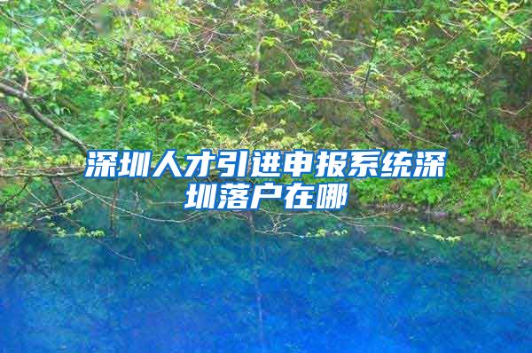 深圳人才引进申报系统深圳落户在哪