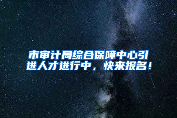 市审计局综合保障中心引进人才进行中，快来报名！