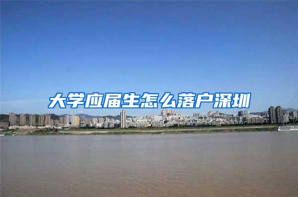 大学应届生怎么落户深圳