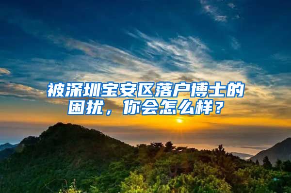 被深圳宝安区落户博士的困扰，你会怎么样？