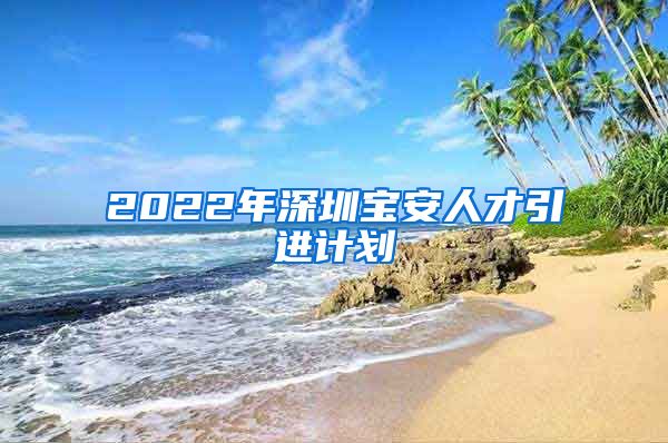 2022年深圳宝安人才引进计划