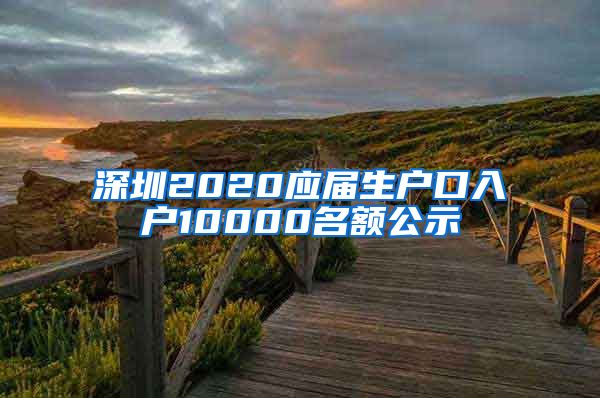 深圳2020应届生户口入户10000名额公示