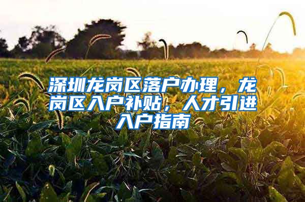 深圳龙岗区落户办理，龙岗区入户补贴，人才引进入户指南