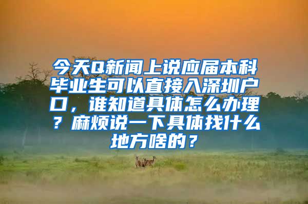 今天Q新闻上说应届本科毕业生可以直接入深圳户口，谁知道具体怎么办理？麻烦说一下具体找什么地方啥的？