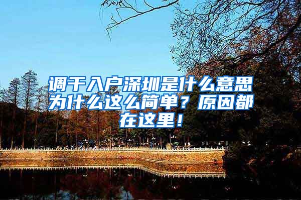 调干入户深圳是什么意思为什么这么简单？原因都在这里！