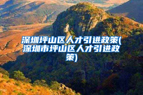 深圳坪山区人才引进政策(深圳市坪山区人才引进政策)