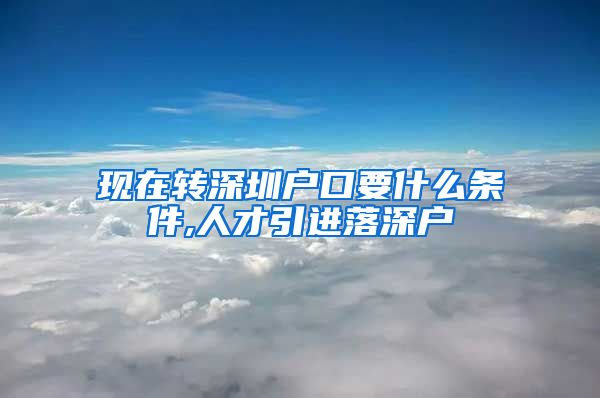 现在转深圳户口要什么条件,人才引进落深户