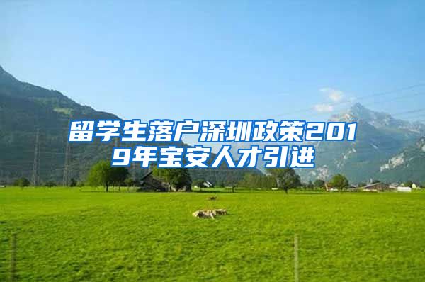 留学生落户深圳政策2019年宝安人才引进