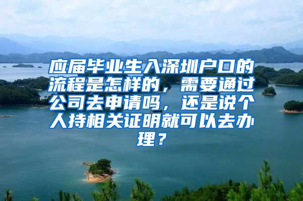 应届毕业生入深圳户口的流程是怎样的，需要通过公司去申请吗，还是说个人持相关证明就可以去办理？