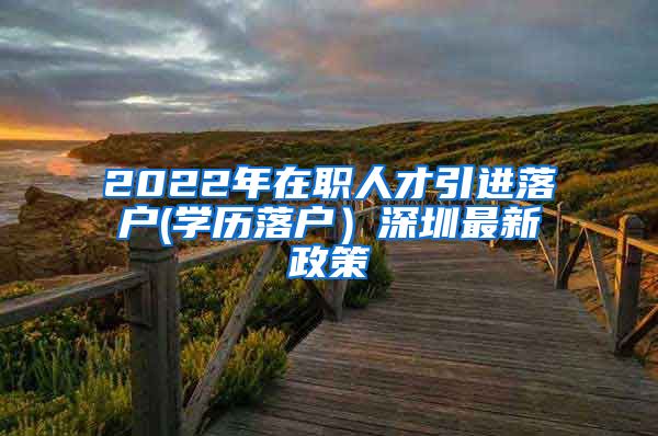 2022年在职人才引进落户(学历落户）深圳最新政策