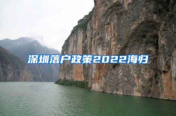 深圳落户政策2022海归