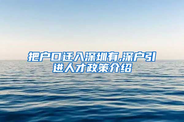 把户口迁入深圳有,深户引进人才政策介绍