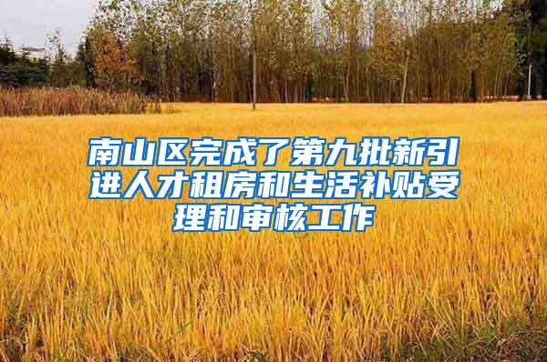 南山区完成了第九批新引进人才租房和生活补贴受理和审核工作