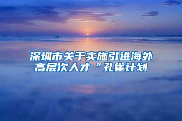 深圳市关于实施引进海外高层次人才“孔雀计划