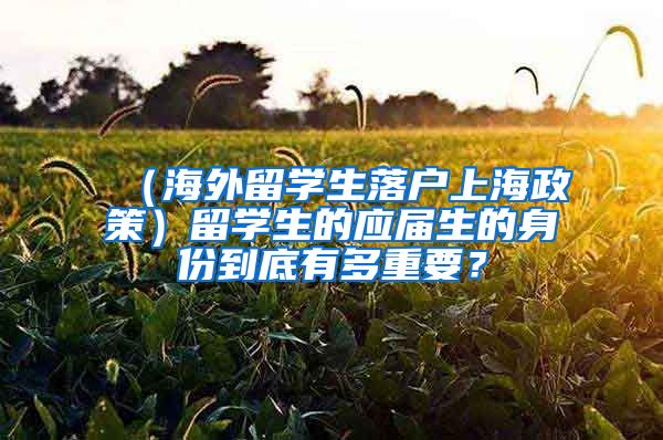 （海外留学生落户上海政策）留学生的应届生的身份到底有多重要？