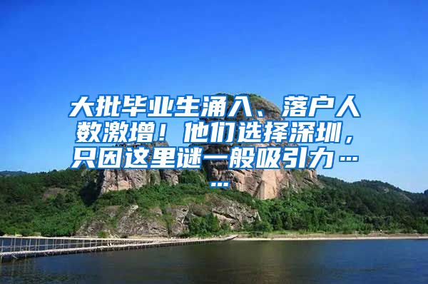 大批毕业生涌入、落户人数激增！他们选择深圳，只因这里谜一般吸引力……