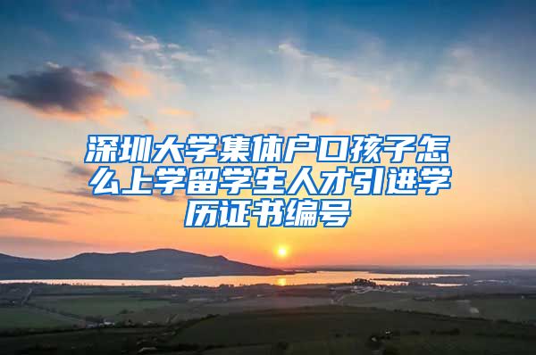 深圳大学集体户口孩子怎么上学留学生人才引进学历证书编号