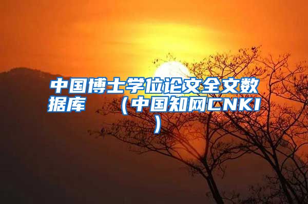 中国博士学位论文全文数据库  （中国知网CNKI）