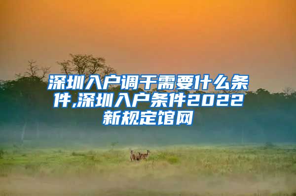 深圳入户调干需要什么条件,深圳入户条件2022新规定馆网