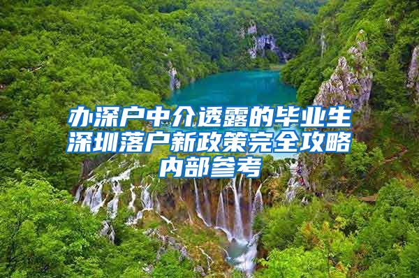 办深户中介透露的毕业生深圳落户新政策完全攻略内部参考