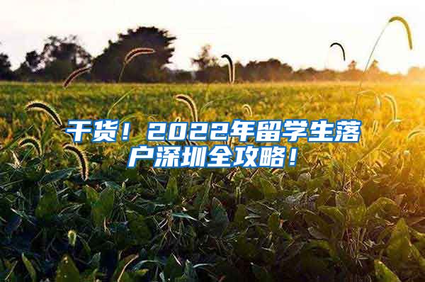 干货！2022年留学生落户深圳全攻略！